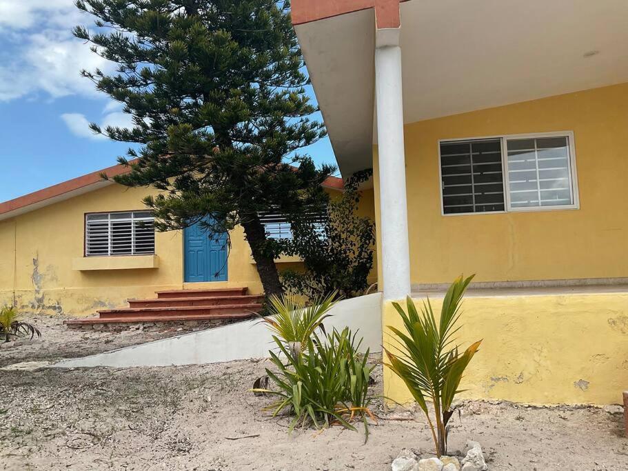 チェレム La Casa Amarilla Frente Al Marヴィラ エクステリア 写真